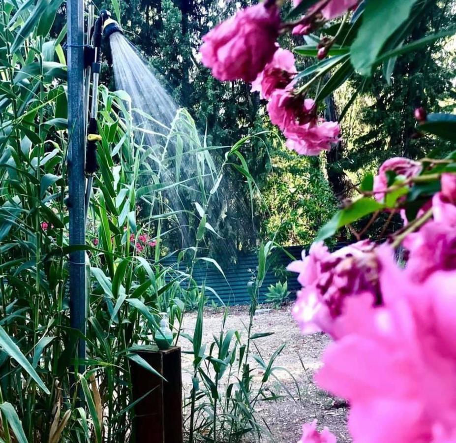 Casa Rural Con Piscina Viajar Con Mascota Gaucín Exteriér fotografie