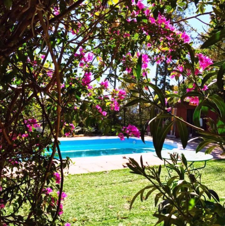 Casa Rural Con Piscina Viajar Con Mascota Gaucín Exteriér fotografie