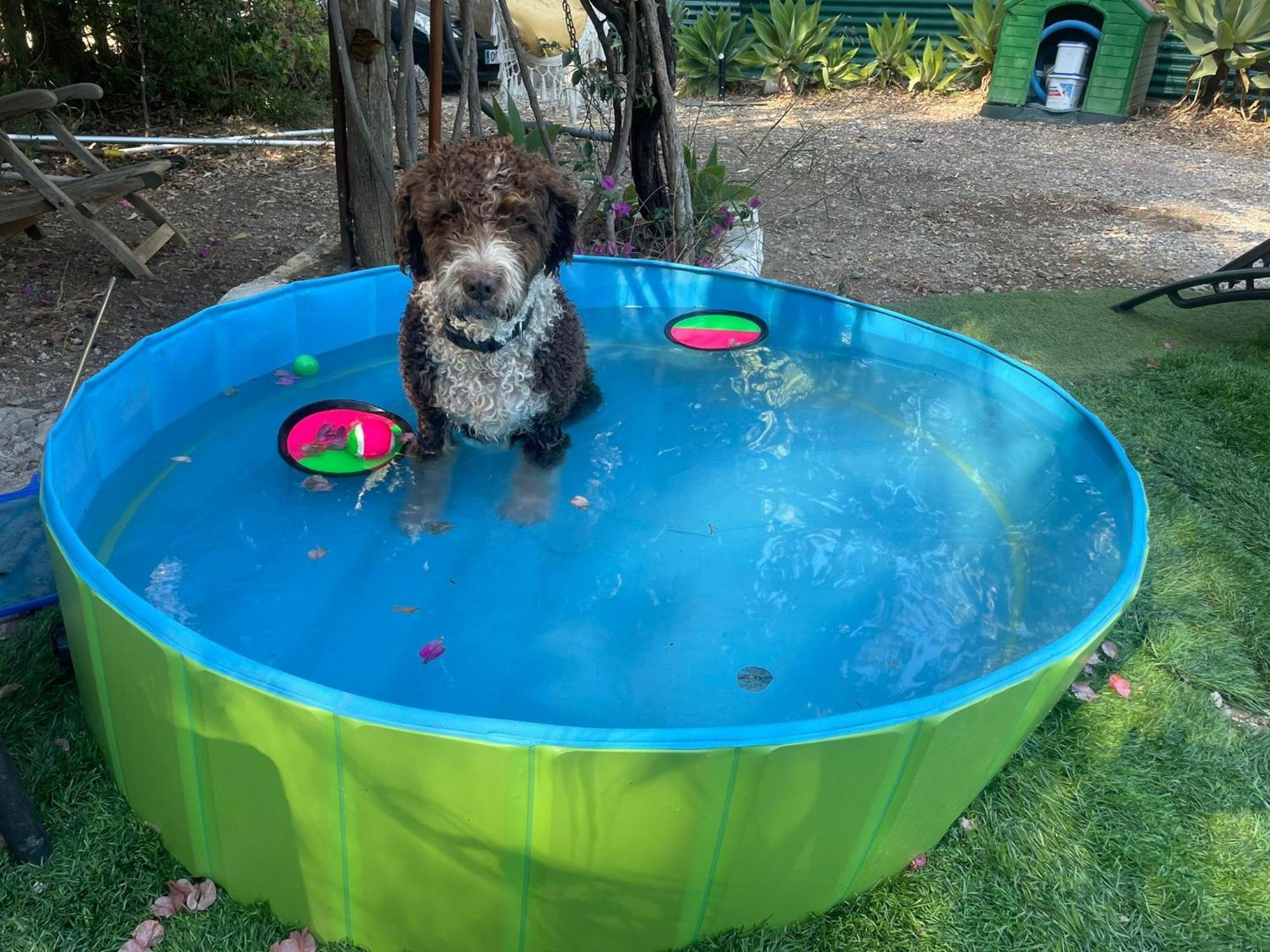Casa Rural Con Piscina Viajar Con Mascota Gaucín Exteriér fotografie